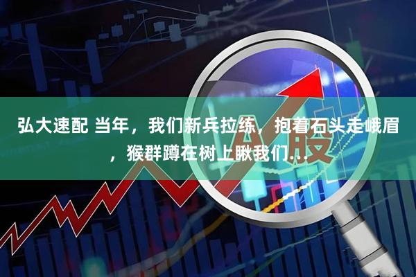 弘大速配 当年，我们新兵拉练，抱着石头走峨眉，猴群蹲在树上瞅我们…