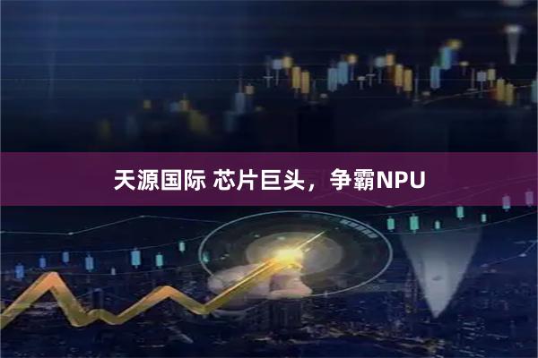 天源国际 芯片巨头，争霸NPU