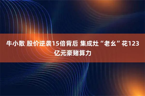 牛小散 股价逆袭15倍背后 集成灶“老幺”花123亿元豪赌算力